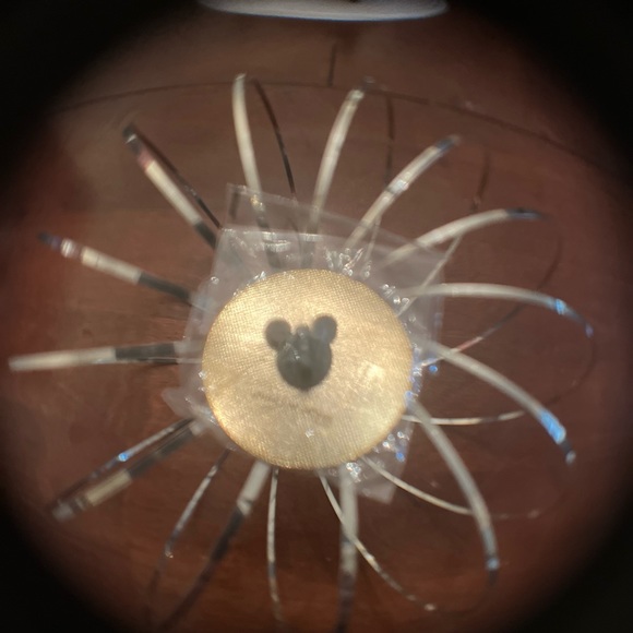 Walt Disney Records 50 years turning music into gold - Picture 4 of 7